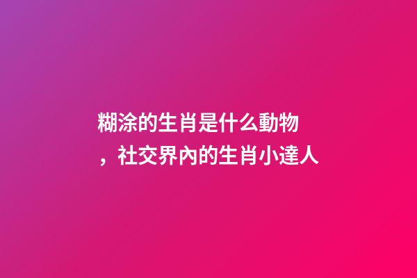 糊涂的生肖是什么動物，社交界內的生肖小達人-第1張-觀點-玄機派